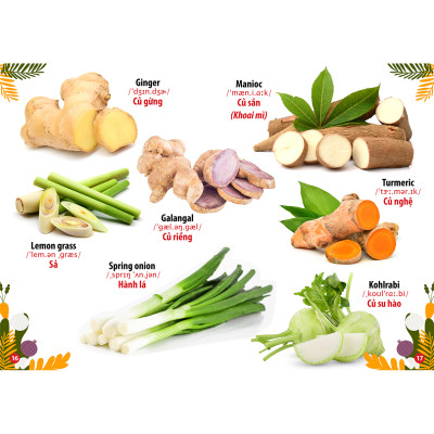 Từ Điển - Thư Viện hình Ảnh Đầu tiên của bé - Thế Giới Động Vật - Chữ Cái Và Số Đếm - Hoa Rau Củ Quả ( bộ 3 cuốn )