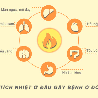 Cốm Huyền Sâm PQA Giúp Tăng Tính Bền Thành Mạch, Thanh Nhiệt Lương Huyết Dùng Cho Đối Tượng Chảy Máu Cam Hộp 12 Gói