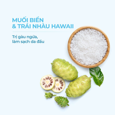 Dầu xả NATUFRÈS Hawaiian Breeze Muối Biển và Trái Nhàu - Điều tiết bã nhờn & chống bết dính, tóc mềm mượt 250ml
