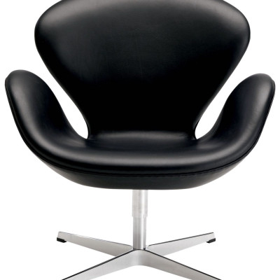 Ghế thư giản Swan Chair Tundo Ngang 73 x 80 x 64 cm