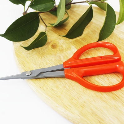 Kéo cắt nho cao cấp Nhật Bản Chikamasa B-300SF