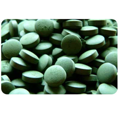 Thực phẩm chức năng bảo vệ sức khỏe CHLORELLA tảo 1440 viên Số 1 Nhật Bản.