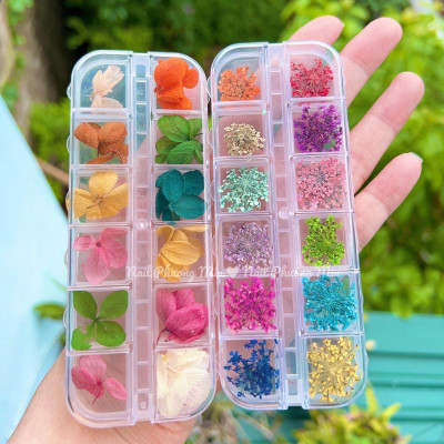Set Hoa Khô Đắp Gel Ẩn Móng 12 Màu, Trang Trí Nail Độc Đáo, Tạo Hiệu Ứng Đẹp, Chùm Hoa Nhiều, Làm Nail Chuyên Nghiệp Women Nữ Sơn Gel