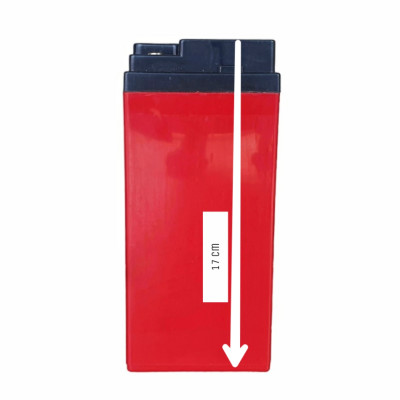 Ắc Quy Chì Axit Xe Máy Điện EVgo 60V20AH