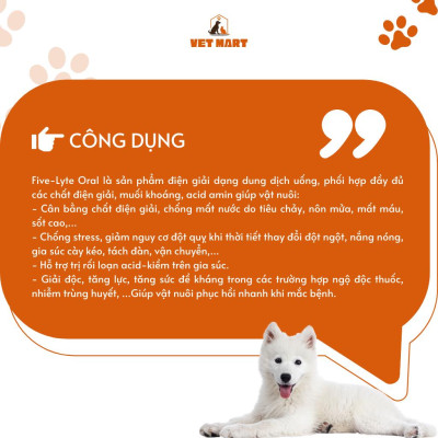 DUNG DỊCH UỐNG SIÊU ĐIỆN GIẢI, CHỐNG MẤT NƯỚC DO SỐT, TIÊU CHẢY CHO GIA SÚC, GIA CẦM Five-Lyte Oral