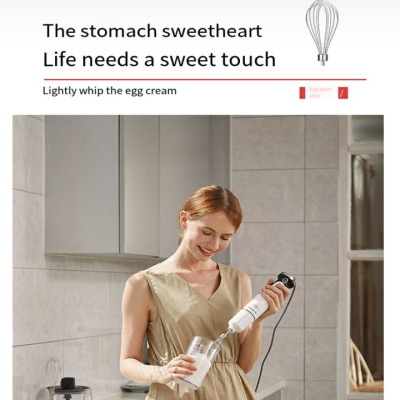 Máy xay sinh tố cầm tay 4 trong 1 Morphy Richards MR6006 - HÀNG NHẬP KHẨU