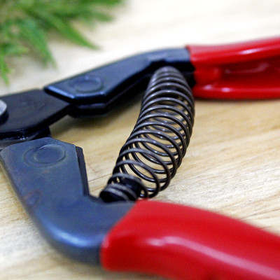 Kéo tỉa cành cao cấp Nhật Bản  Chikamasa T-55SC chiều dài lưỡi 48mm - lưỡi thép không gỉ chất lượng cao siêu bén - Cắt ngọt, không bám dính, liền sẹo nhanh