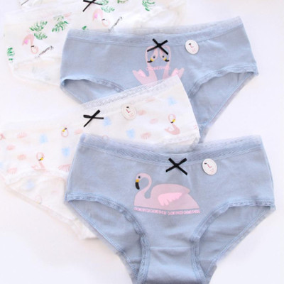 Set 5 quần chip nữ cotton siêu thoáng siêu xinh