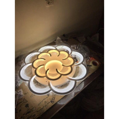 Mâm mika hoa,đèn mâm áp trần,đèn trang trí, đèn ốp trần, đèn trang trí, đèn decor DT