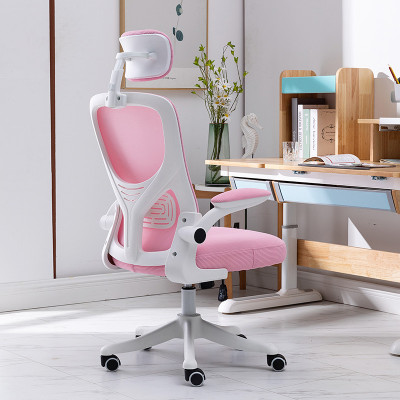 Mesh Ergonomic Executive office chairs with headrest. Ghế lưới văn phòng điều hành Ergonomic với tựa đầu.