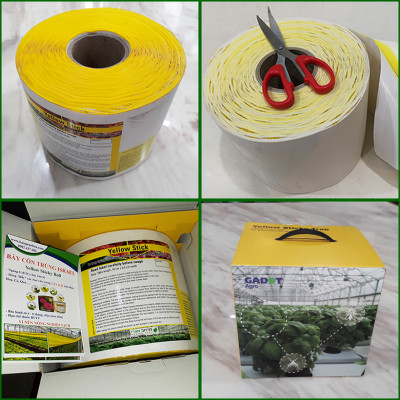 Bẫy Ruồi Bằng Keo Dính Vàng Sinh Học Israel Cuộn 10 Mét Trải Nghiệm. Hiệu Sticky Yellow Roll là Keo Dính Vàng 2 Mặt Israel (RỘNG 18CM X DÀI 10M) Nhập Khẩu Israel Sử DụngTrong Ngành Nông Nghiệp Sạch dùng Bẫy Ruồi Giấm, Ruồi Vàng, Ruồi Cái và cả các loại côn trùng khác