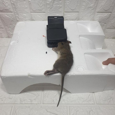 Kẹp bẫy chuột nhựa siêu nhạy, bẫy chuột thông minh kiểu hàm kẹp