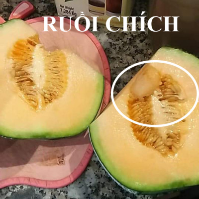 Bẫy Ruồi Bằng Keo Dính Vàng Sinh Học Israel Cuộn 10 Mét Trải Nghiệm. Hiệu Sticky Yellow Roll là Keo Dính Vàng 2 Mặt Israel (RỘNG 18CM X DÀI 10M) Nhập Khẩu Israel Sử DụngTrong Ngành Nông Nghiệp Sạch dùng Bẫy Ruồi Giấm, Ruồi Vàng, Ruồi Cái và cả các loại côn trùng khác