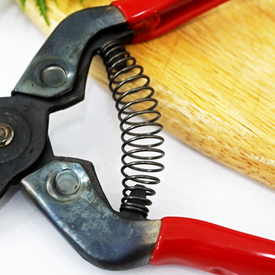 Kéo cắt cành cao cấp Nhật Bản Chikamasa PST-8 chiều dài lưỡi 45mm - lưỡi thép carbon chất lượng cao siêu bén - cắt ngọt, không bám dính, liền sẹo nhanh