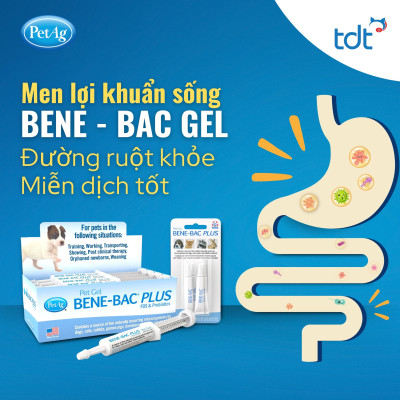 [ 15G ] MEN VI SINH DẠNG GEL - BENE-BAC GEL BỔ SUNG LỢI KHUẨN&TĂNG CƯỜNG MIỄN DỊCH CHO CHÓ MÈO