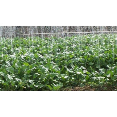 150M DÂY TƯỚI PHUN MƯA phi 34mm