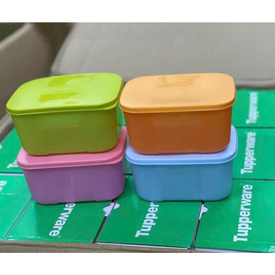 Sét 4 hộp nhựa đựng thực phẩm trữ đông dung tích 700ml