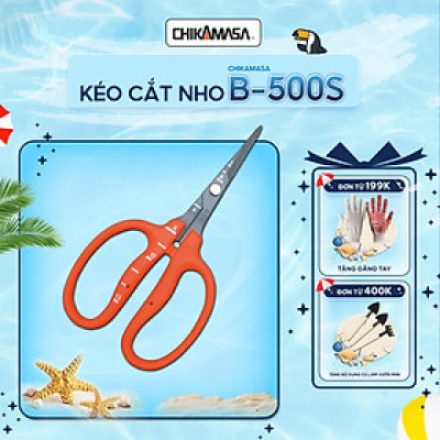 Kéo cắt nho cao cấp Nhật Bản Chikamasa B-500S