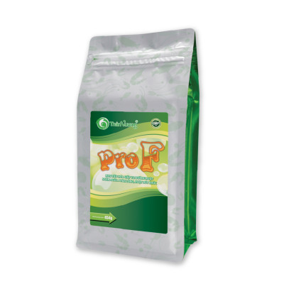 PRO F - Men tiêu hóa giúp ngăn ngừa vấn đề đường ruột