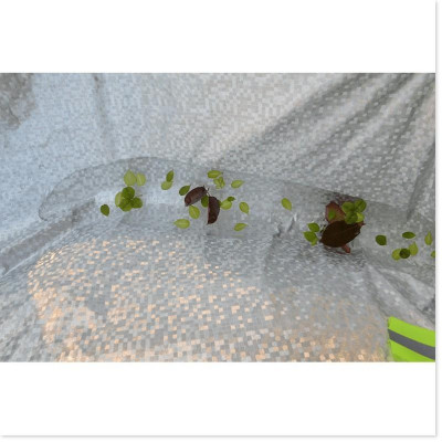 Bạt xe hơi , áo trùm che phủ xe hơi, Bạt phủ xe ôtô tráng nhôm bạc 4 - 7 chỗ, chống nóng, mưa, xước sơn.