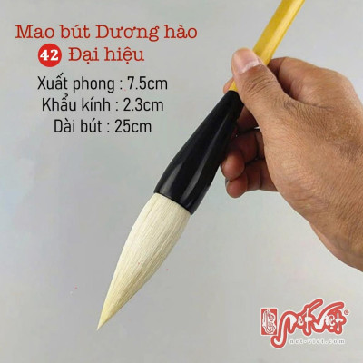 Bút lông sáng tác thư pháp đại tự, vẽ thuỷ mặc dương hào, kiêm hào cỡ lớn