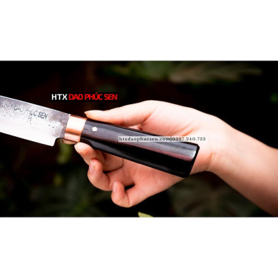 Dao Phúc Sen Phile Chống Dính - N14TMDD