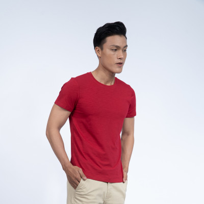 Áo thun nam cổ tròn Novelty 190153N