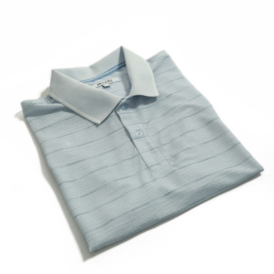 Áo Polo nam Novelty Regular fit NATMINMCLR210083N