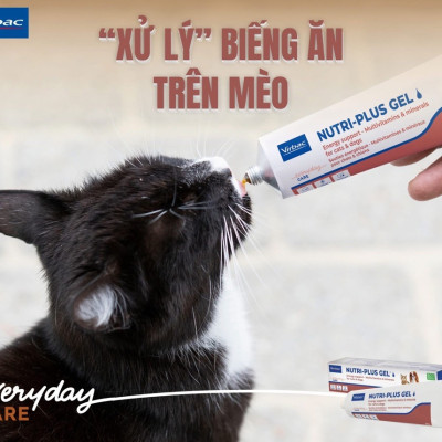 Nutri plus Gel - dinh dưỡng cao cấp cho chó mèo yếu và còi cọc 