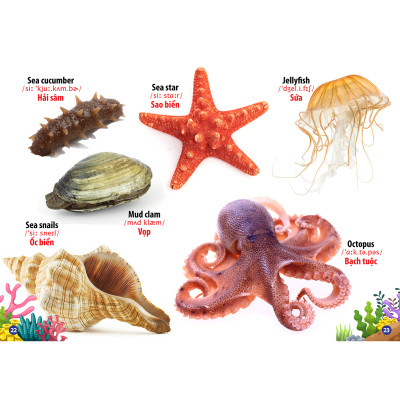 Sách - Trọn Bộ Combo Từ Điển Song Ngữ Đầu Tiên Của Bé ( bộ 8 cuốn)