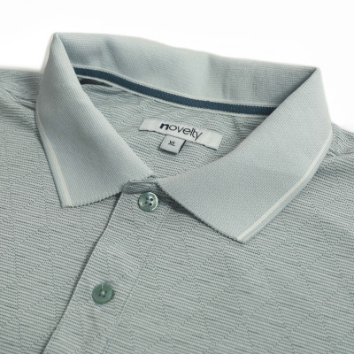 Áo Polo nam Novelty Regular fit NATMINMCLR210085N