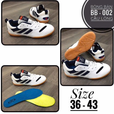 Giày Cầu Lông Bóng Bàn ,Giày Chạy bộ