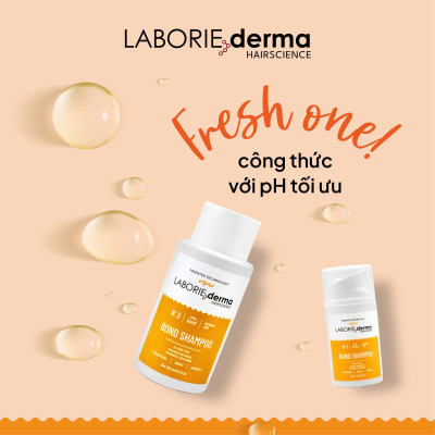 Dầu gội hỗ trợ phục hồi, tăng cường chắc khỏe tóc LABORIE derma Bond Shampoo 250ml