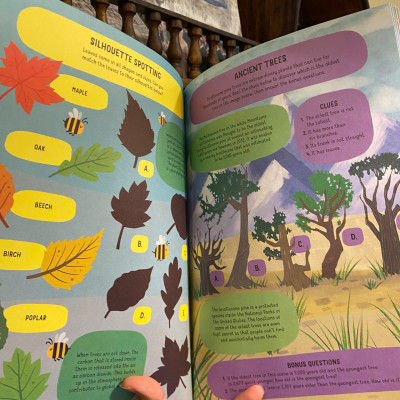 Sách - Big Green Busy Book by Damara Strong | Learn Simple Ways - Children