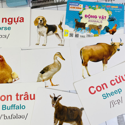 Sách - Flashcard Thế giới quanh em - Giáo dục theo phương pháp Glenn Doman
