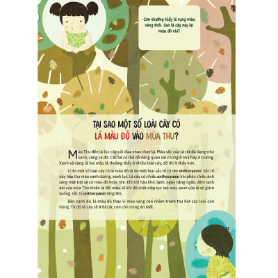 Hỏi Đáp Về Thế Giới