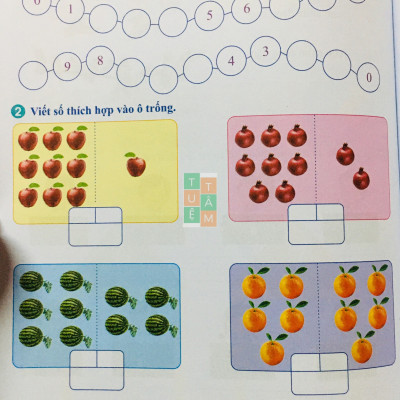 Sách - Bài tập tuần Toán 1 (kết nối tri thức với cuộc sống)