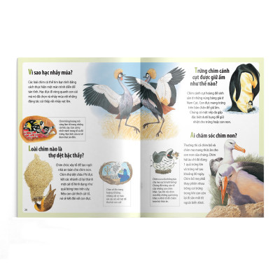 Em muốn biết vì sao (Bộ mới) - Sâu bướm ăn nhiều và những câu hỏi khác về sự sống 