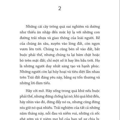 Sách - Hạnh Phúc Tuổi Trẻ - Trưởng Thành Bằng Yêu Thương