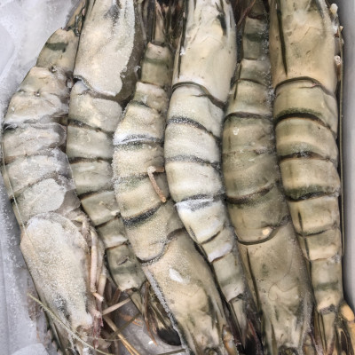 Tôm sú nguyên con sinh thái Seaprodex kích cỡ 6 con/hộp, 500gr