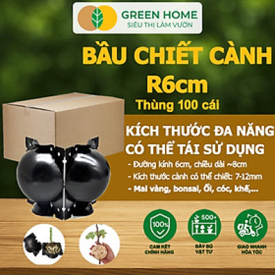 Bầu Chiết Cành GreenHome, R6cm(1 Thùng 100 CÁI), Tăng Khả Năng Ra Rễ, Phù Hợp Với Mai Vàng, Ổi, Mận