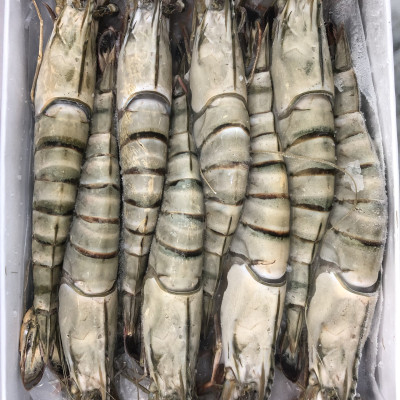 Tôm sú nguyên con sinh thái Seaprodex kích cỡ 8 con/hộp, 500gr