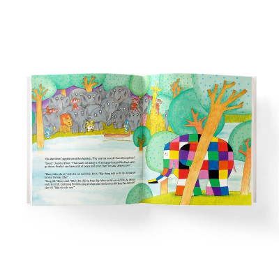 Sách - Elmer Và Cơn Lũ - Song Ngữ Anh Việt - Đông A