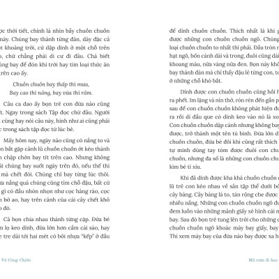 Sách - Mũ Rơm Đi Học