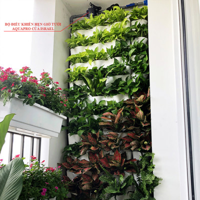 Bộ Điều Khiển Hẹn Giờ Tưới Tự Động Aquapro Sử Dụng Pin