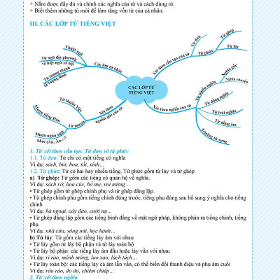 Combo 2 Cuốn: Chinh Phục Toàn Diện Môn Văn Kỳ Thi Vào 10