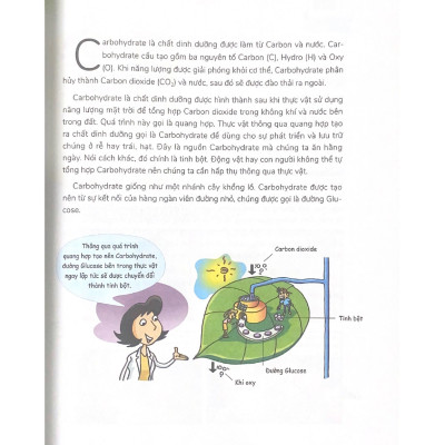 W Series 07: Ăn Ngon Là Khoa Học Dinh Dưỡng - Vanlangbooks