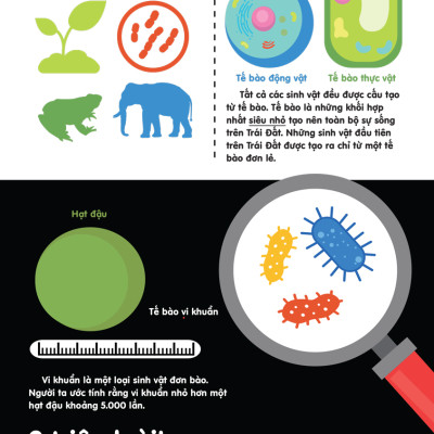 	Infographics - Bách Khoa Tri Thức Bằng Đồ Họa Cho Trẻ Em - Tiến Hóa _DTI