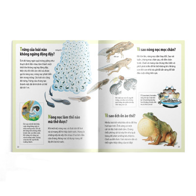 Em muốn biết vì sao (Bộ mới) - Sâu bướm ăn nhiều và những câu hỏi khác về sự sống 