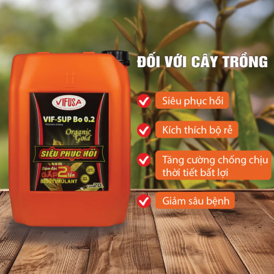 VIF-SUP Bo 0.2 - Phân bón Siêu phục hồi can 20L
